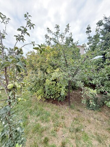 Satılır 5 otaqlı həyət evi/bağ evi 225 m², Mərdəkan q., photo 13 from 32