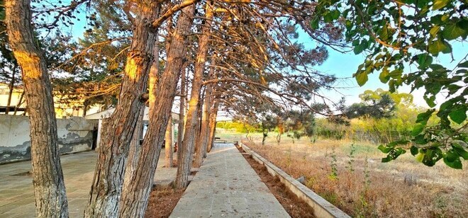 Продаётся  участок 25 сот, пос. Мардакан, photo 3 from 13