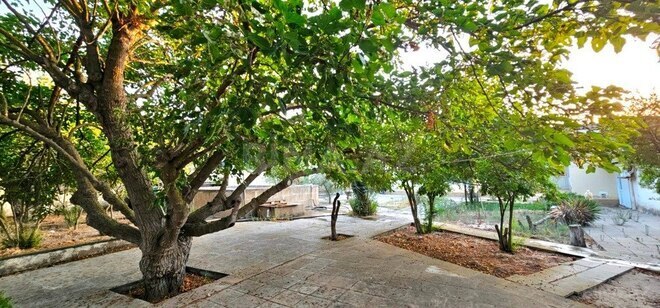 Продаётся  участок 25 сот, пос. Мардакан, photo 7 from 13