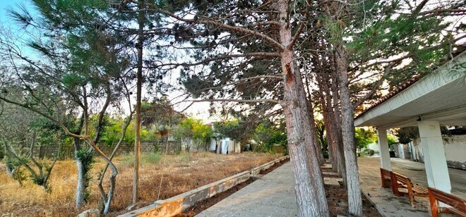 Продаётся  участок 25 сот, пос. Мардакан, photo 10 from 13