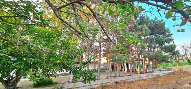 Продаётся  участок 25 сот, пос. Мардакан, photo 4 from 13