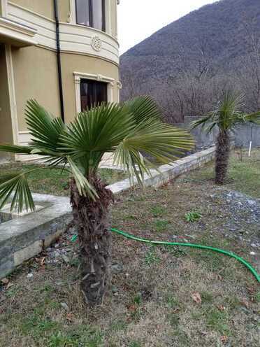 Продаётся 5-комн. дом/дача 210 м², photo 9 from 10