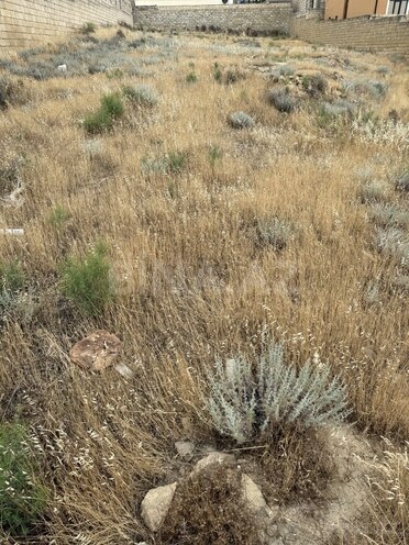 Satılır  torpaq 12 sot, Badamdar q., photo 12 from 15