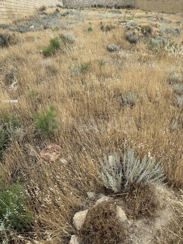 Satılır  torpaq 12 sot, Badamdar q., photo 14 from 15