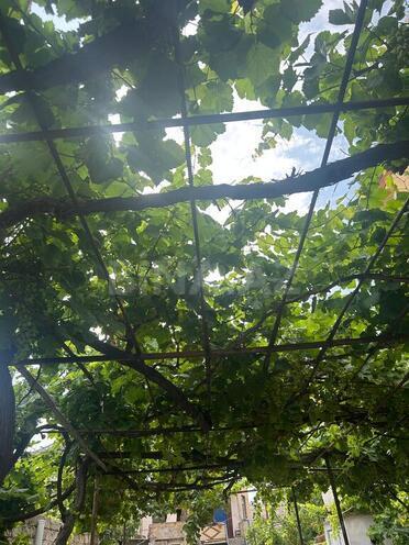 Satılır 8 otaqlı həyət evi/bağ evi 216 m², Əhmədli m., photo 16 from 25