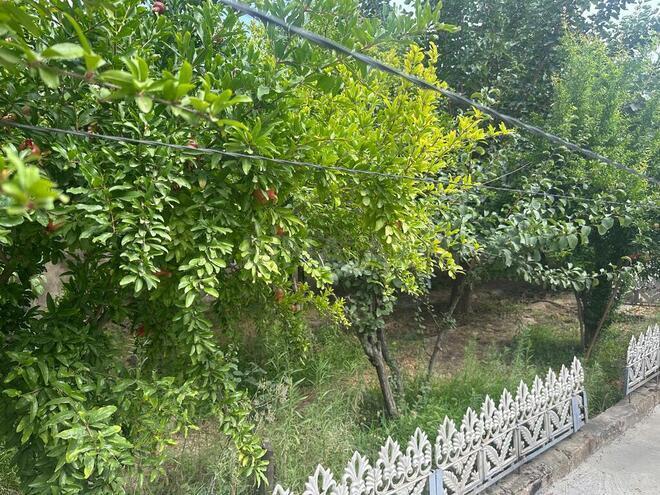 Продаётся 5-комн. дом/дача 150 м², пос. Ази Асланова, photo 8 from 13