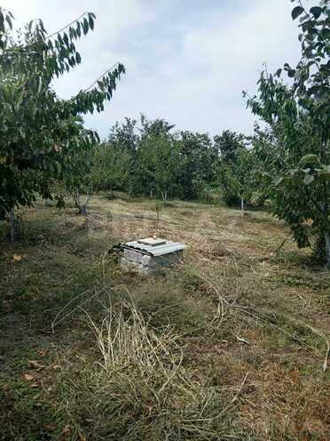 Satılır 3 otaqlı həyət evi/bağ evi 100 m², Xaçmaz r., photo 12 from 32