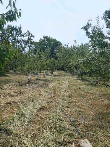 Satılır 3 otaqlı həyət evi/bağ evi 100 m², Xaçmaz r., photo 14 from 32