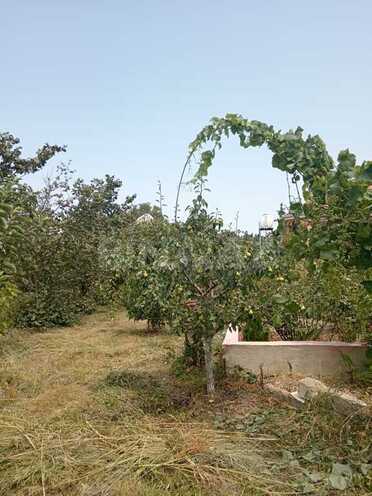 Satılır 3 otaqlı həyət evi/bağ evi 100 m², Xaçmaz r., photo 17 from 32