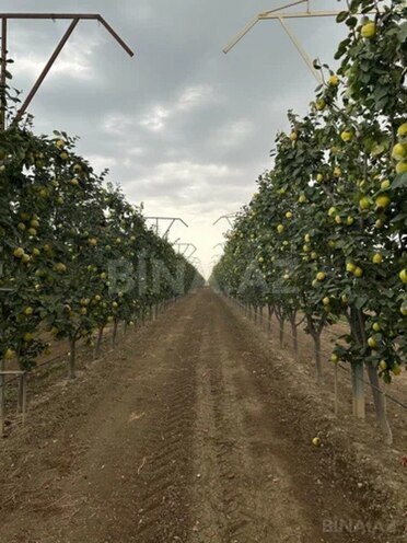 Продаётся  объект 850 000 м², photo 6 from 9