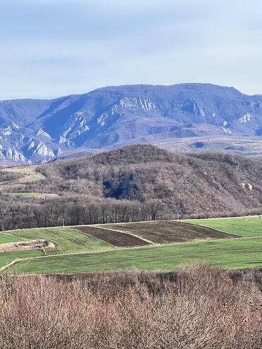 Satılır  torpaq 142 sot, photo 3 from 6