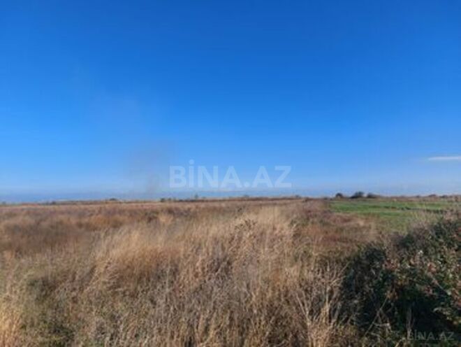 Satılır  torpaq 10 000 sot, photo 3 from 4