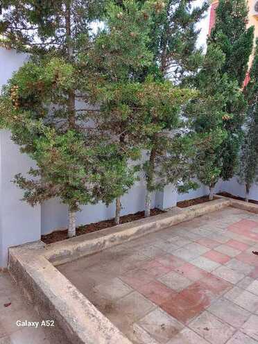 Satılır 4 otaqlı həyət evi/bağ evi 120 m², Lökbatan q., photo 5 from 28