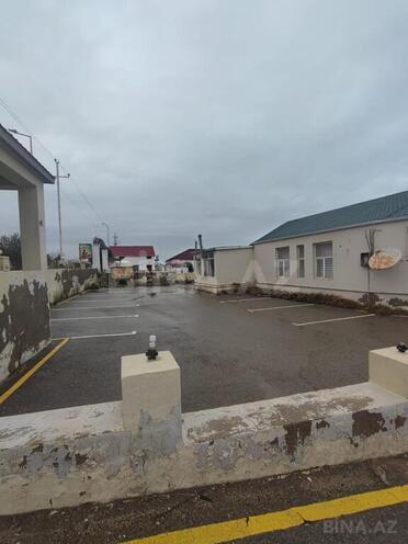 Продаётся  участок 60 сот, пос. Новханы, photo 6 from 9