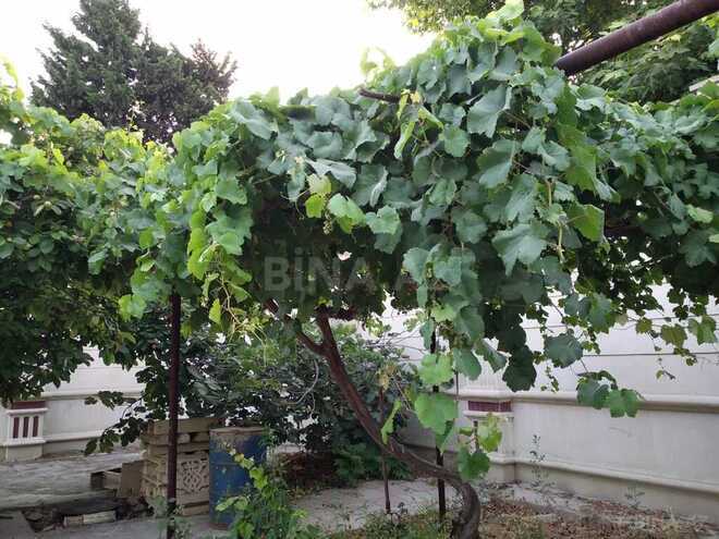 Продаётся  участок 5 сот, пос. Ази Асланова, photo 13 from 15