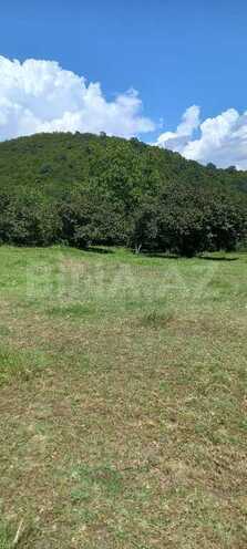 Продаётся  участок 30 сот, photo 5 from 11