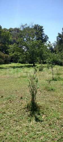 Продаётся  участок 30 сот, photo 10 from 11