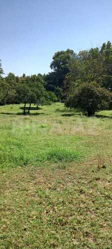 Продаётся  участок 30 сот, photo 9 from 11