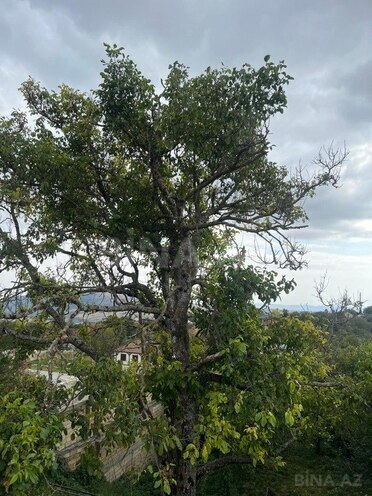 Сдаётся 7-комн. дом/дача 220 м², photo 19 from 26