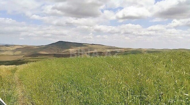 Satılır  torpaq 7 490 sot, photo 8 from 10