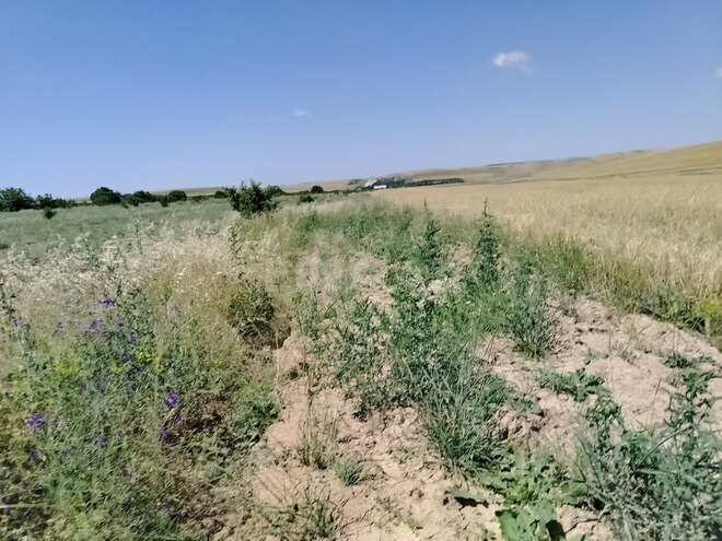 Satılır  torpaq 7 490 sot, photo 7 from 10