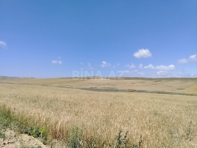 Satılır  torpaq 7 490 sot, photo 4 from 10