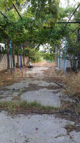 Продаётся  участок 25 сот, пос. Бильгях, photo 4 from 12