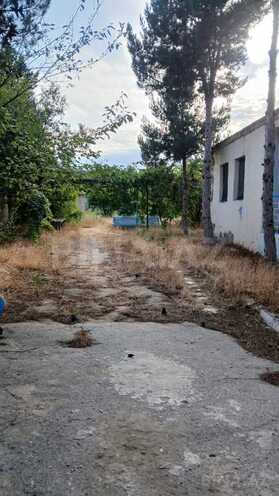 Продаётся  участок 25 сот, пос. Бильгях, photo 5 from 12