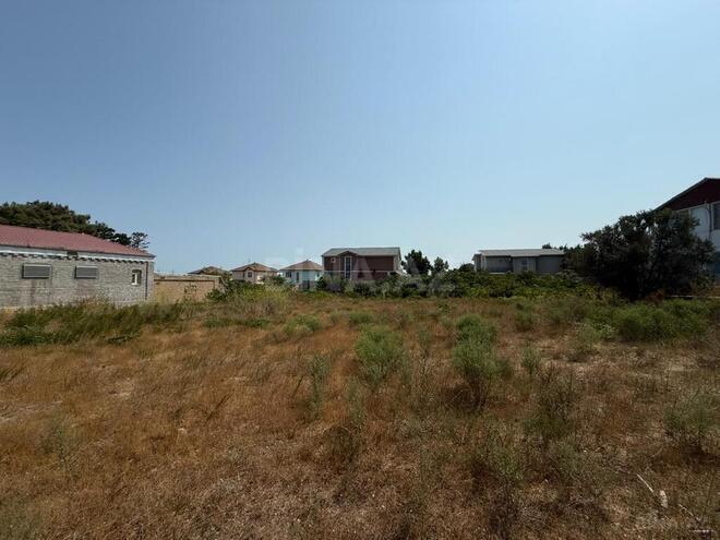 Продаётся  участок 72 сот, пос. Шувеляны, photo 5 from 7