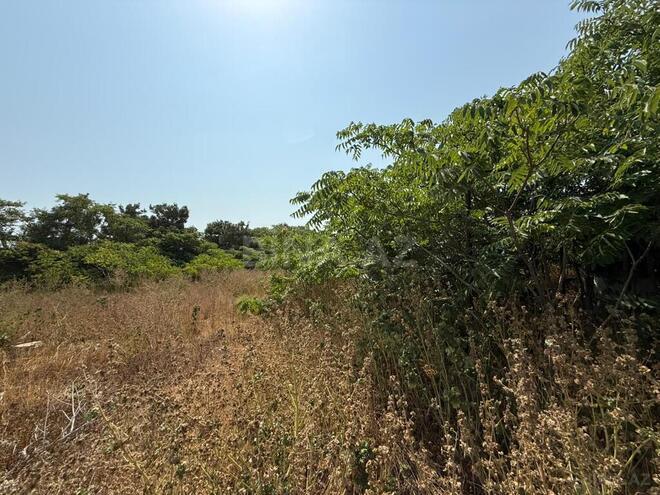 Продаётся  участок 72 сот, пос. Шувеляны, photo 4 from 7