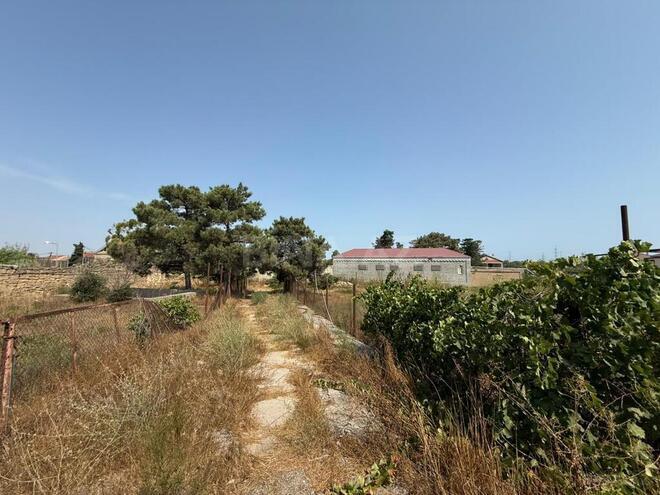 Продаётся  участок 72 сот, пос. Шувеляны, photo 3 from 7