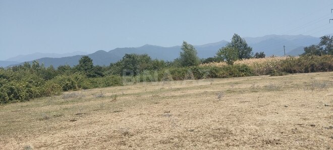 Satılır  torpaq 6 sot, photo 4 from 12