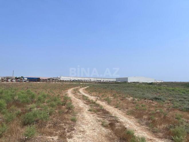 Продаётся  участок 120 сот, пос. Мамедли, photo 10 from 12