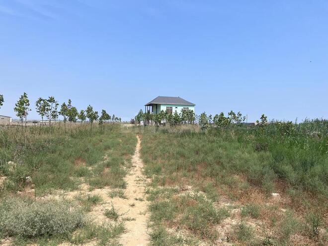 Продаётся  участок 120 сот, пос. Мамедли, photo 7 from 12