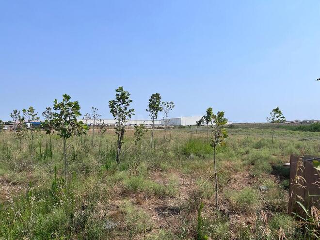 Продаётся  участок 120 сот, пос. Мамедли, photo 11 from 12