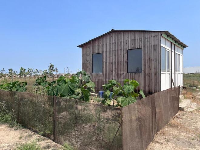 Продаётся  участок 120 сот, пос. Мамедли, photo 6 from 12