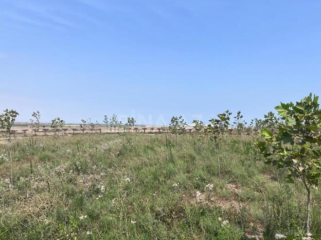 Продаётся  участок 120 сот, пос. Мамедли, photo 8 from 12