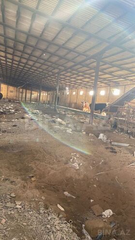 Продаётся  участок 2 000 сот, пос. Аляты, photo 22 from 30