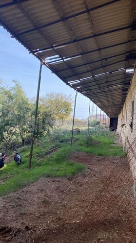 Продаётся  участок 2 000 сот, пос. Аляты, photo 20 from 30