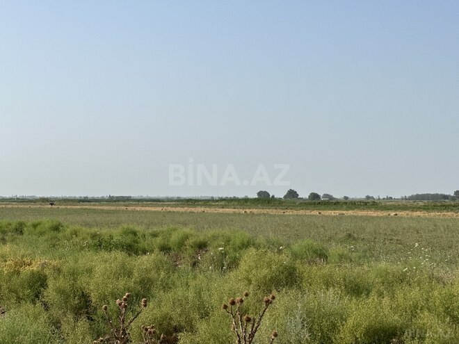 Satılır  torpaq 7 000 sot, photo 4 from 15