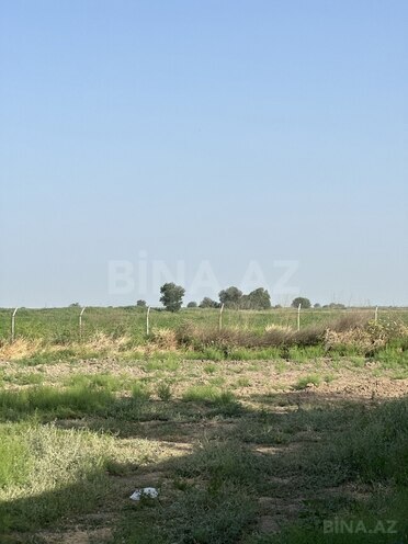 Satılır  torpaq 7 000 sot, photo 6 from 15