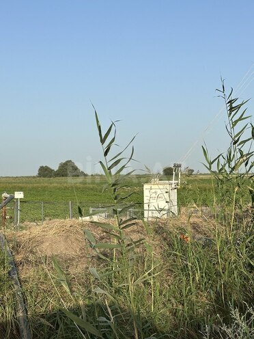 Satılır  torpaq 7 000 sot, photo 12 from 15