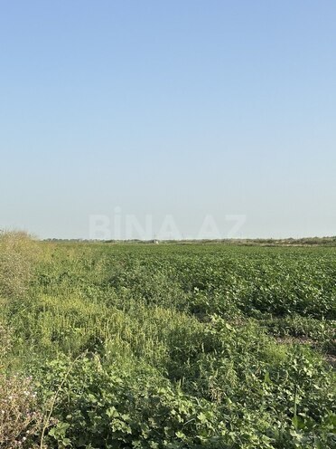 Satılır  torpaq 7 000 sot, photo 14 from 15