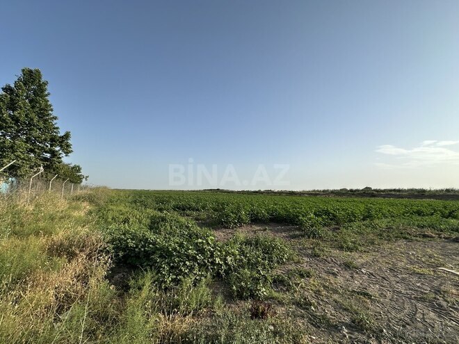 Satılır  torpaq 7 000 sot, photo 13 from 15