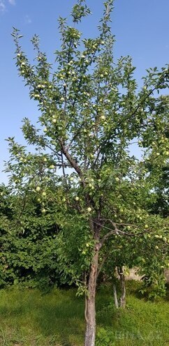 Продаётся 8-комн. дом/дача 250 м², photo 27 from 32