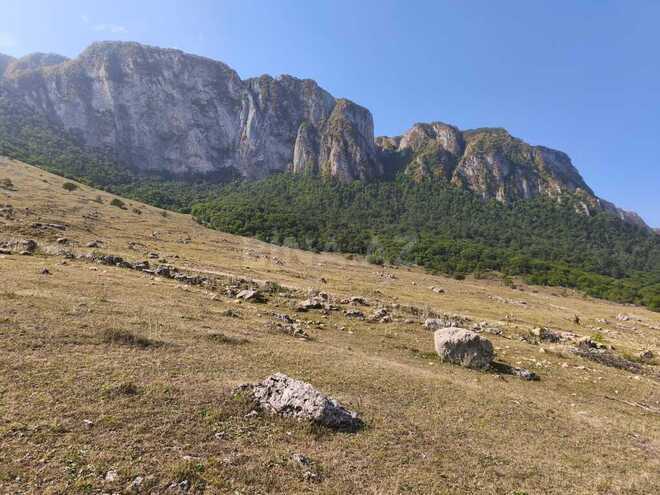 Satılır  torpaq 10 sot, photo 5 from 7