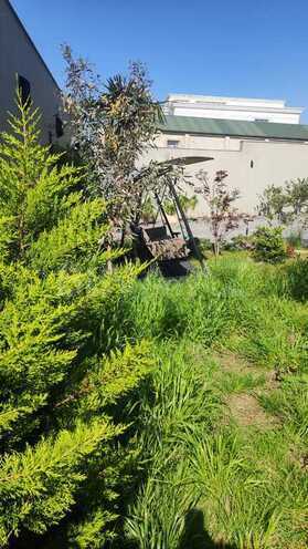 Satılır 7 otaqlı həyət evi/bağ evi 550 m², Şıxov q., photo 17 from 26