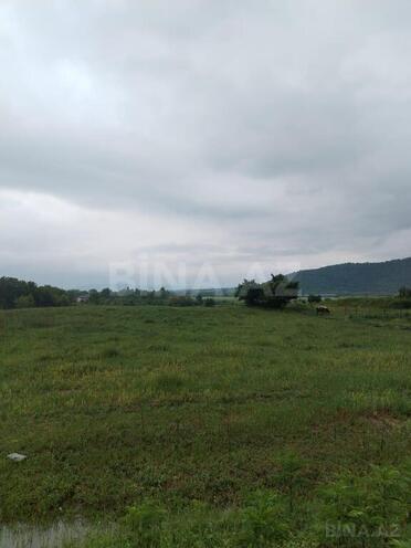 Продаётся  участок 245 сот, photo 5 from 7