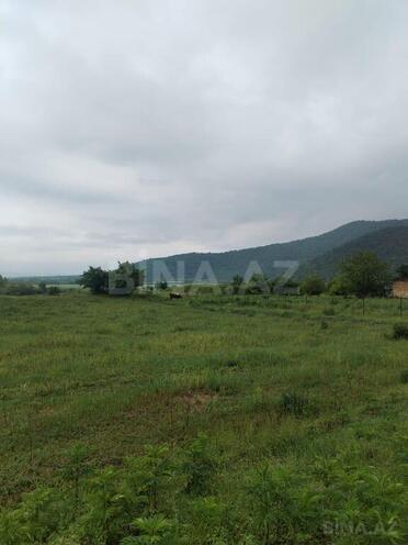 Продаётся  участок 245 сот, photo 3 from 7