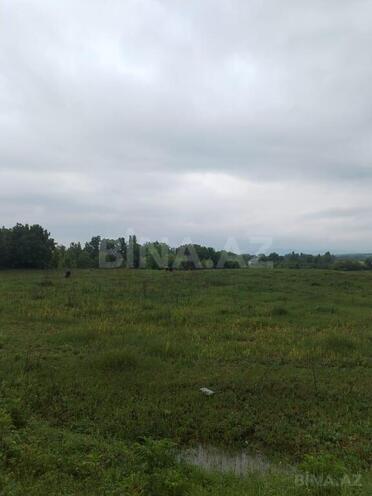 Продаётся  участок 245 сот, photo 6 from 7